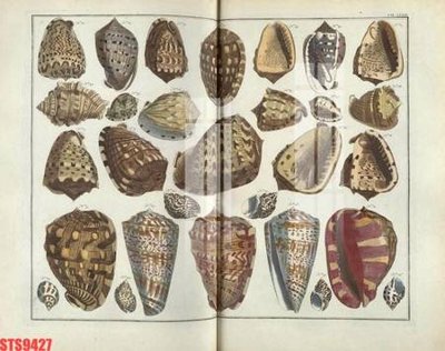 File ảnh Tranh sơn dầu phương tây tổng hợp STS9427 (gốc) trang trí khách sạn