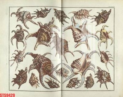 File ảnh gốc Tranh sơn dầu phương tây tổng hợp STS9429 (chuyên in mica)