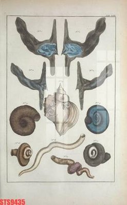 Download file Tranh sơn dầu phương tây tổng hợp STS9435 (chất lượng in ấn)