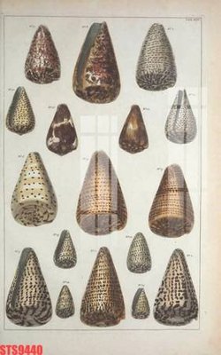 File gốc Tranh sơn dầu phương tây tổng hợp STS9440 (cho in UV) siêu nét