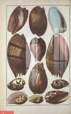 File PSD Tranh sơn dầu phương tây tổng hợp STS9449 (chất lượng in ấn)