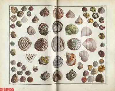 File tranh gốc Tranh sơn dầu phương tây tổng hợp STS9455 (bản quyền) file PSD