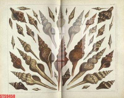 File tranh gốc PSD Tranh sơn dầu phương tây tổng hợp STS9458 còn nguyên layer