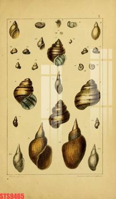 File ảnh Tranh sơn dầu phương tây tổng hợp STS9465 (gốc) cho trang trí nội thất