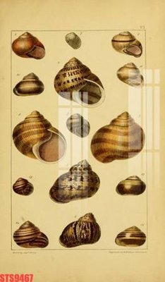 Tải file Tranh sơn dầu phương tây tổng hợp STS9467 (gốc) in tranh tráng gương