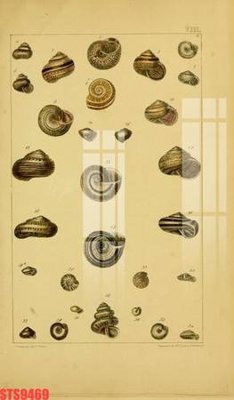 File tranh in trần 3D Tranh sơn dầu phương tây tổng hợp STS9469 (ảnh gốc)