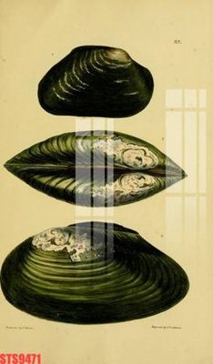 Tải file gốc Tranh sơn dầu phương tây tổng hợp STS9471 (in tráng gương) siêu đẹpFile tranh gốc Tranh sơn dầu phương tây tổng hợp STS9471 chất lượng cao