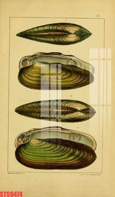 Ảnh mô tả file gốc in mica Tranh sơn dầu phương tây tổng hợp STS9474