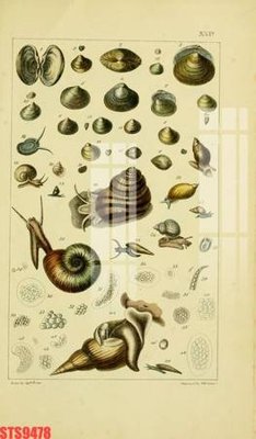 File gốc Tranh sơn dầu phương tây tổng hợp STS9478 (ảnh chi tiết) để in lụa