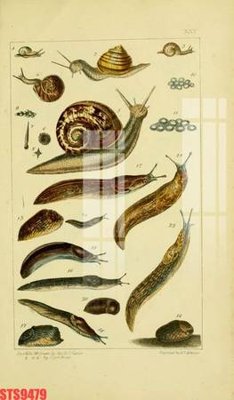 Tải file gốc Tranh sơn dầu phương tây tổng hợp STS9479 (bản PSD) đầy đủ layer