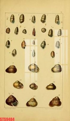 File gốc Tranh sơn dầu phương tây tổng hợp STS9484 (phong cách) tối giản