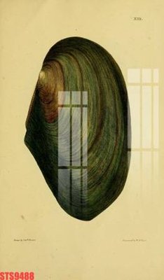 File gốc Tranh sơn dầu phương tây tổng hợp STS9488 (cho in ấn) từ kho Filetranh