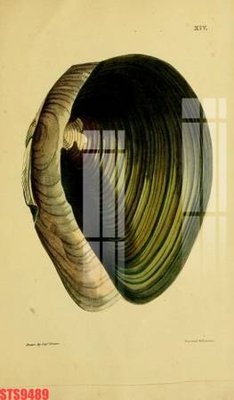 File gốc Tranh sơn dầu phương tây tổng hợp STS9489 (in 3D) cho trang trí