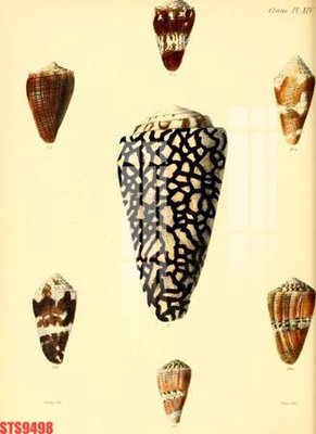 File PSD Tranh sơn dầu phương tây tổng hợp STS9498 (gốc) cho in quảng cáo