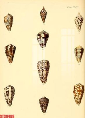 File in lụa Tranh sơn dầu phương tây tổng hợp STS9499 (tân cổ điển) Tranh sơn dầu phương tây tổng hợp STS9499