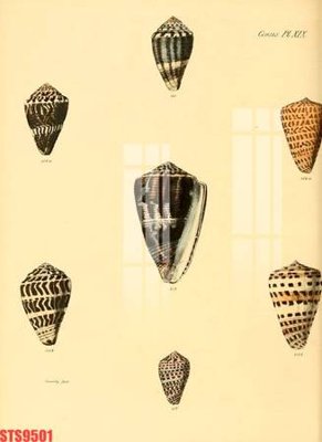 File tranh Tranh sơn dầu phương tây tổng hợp STS9501 (gốc) in backlit film