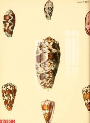 File gốc Tranh sơn dầu phương tây tổng hợp STS9504 (in tráng gương) nghệ thuật