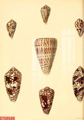 Download file Tranh sơn dầu phương tây tổng hợp STS9508 (gốc) in mica cao cấp