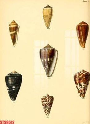 File gốc Tranh sơn dầu phương tây tổng hợp STS9512 (phong cách) cổ điển