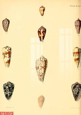 File gốc Tranh sơn dầu phương tây tổng hợp STS9513 (in tráng gương) ốp tường