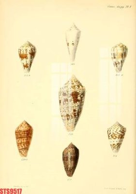 File gốc Tranh sơn dầu phương tây tổng hợp STS9517 (chuẩn màu) cho in offset