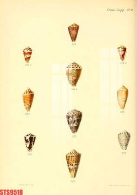 Tải file gốc Tranh sơn dầu phương tây tổng hợp STS9518 (in bạt) quảng cáo