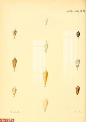 File gốc Tranh sơn dầu phương tây tổng hợp STS9521 (Filetranh.com) Tranh sơn dầu phương tây tổng hợp STS9521