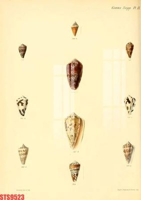 File gốc Tranh sơn dầu phương tây tổng hợp STS9523 (cho in ấn) từ Filetranh.com