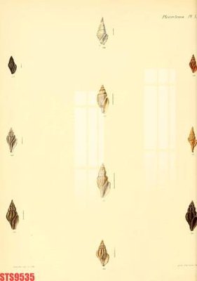 File tranh Tranh sơn dầu phương tây tổng hợp STS9535 (ảnh gốc) chi tiết rõ ràng