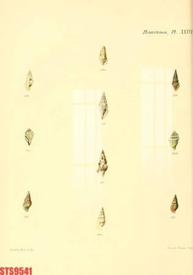 Tải file Tranh sơn dầu phương tây tổng hợp STS9541 (ảnh gốc) 300dpi Tranh sơn dầu phương tây tổng hợp STS9541