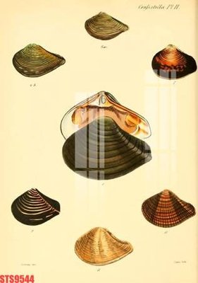 File gốc Tranh sơn dầu phương tây tổng hợp STS9544 (Filetranh.com) Tranh sơn dầu phương tây tổng hợp STS9544