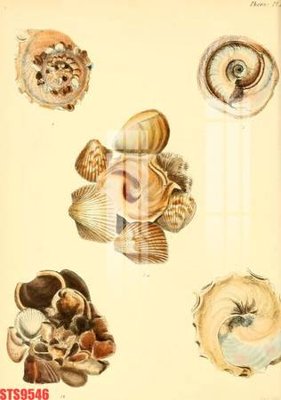 File ảnh Tranh sơn dầu phương tây tổng hợp STS9546 (gốc) trang trí khách sạn