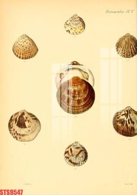 File PSD in ấn Tranh sơn dầu phương tây tổng hợp STS9547 (chất lượng cao)