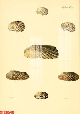 File in trần Tranh sơn dầu phương tây tổng hợp STS9548 (file gốc) hoa văn 3D