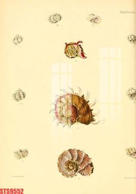 Tải file gốc Tranh sơn dầu phương tây tổng hợp STS9552 (in tráng gương) siêu đẹpFile tranh gốc Tranh sơn dầu phương tây tổng hợp STS9552 chất lượng cao