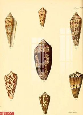 File gốc Tranh sơn dầu phương tây tổng hợp STS9558 (in tráng gương) hiện đại