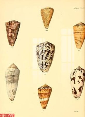 File gốc Tranh sơn dầu phương tây tổng hợp STS9559 (cho in ấn) từ Filetranh.com