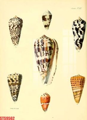 File ảnh Tranh sơn dầu phương tây tổng hợp STS9562 (gốc) cho trang trí nhà hàng