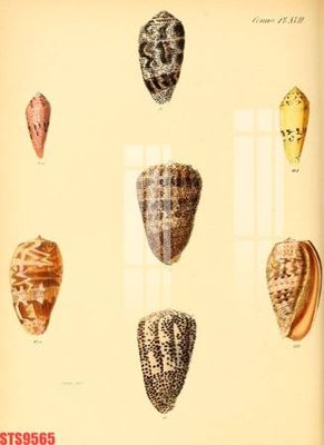 Download file gốc Tranh sơn dầu phương tây tổng hợp STS9565 (độ nét cao)