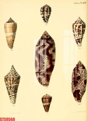 File gốc Tranh sơn dầu phương tây tổng hợp STS9568 (trang trí) phòng trẻ em