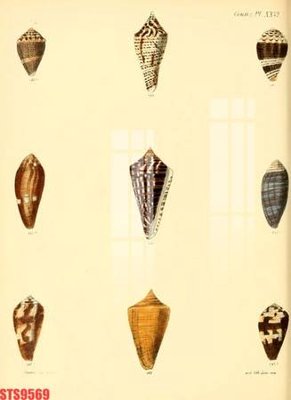 File in ấn Tranh sơn dầu phương tây tổng hợp STS9569 (bản gốc) chất lượng cao