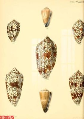 Download file gốc Tranh sơn dầu phương tây tổng hợp STS9575 (độ nét cao)