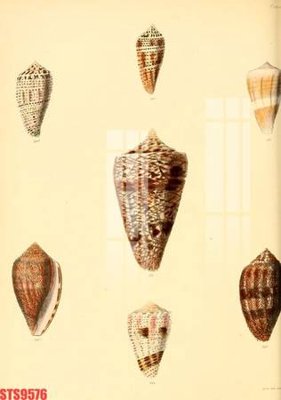 Tải file gốc Tranh sơn dầu phương tây tổng hợp STS9576 (bản PSD) còn layer