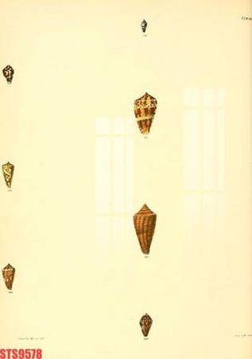 File in trần Tranh sơn dầu phương tây tổng hợp STS9578 (file gốc) phong thủy