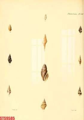 File in mica Tranh sơn dầu phương tây tổng hợp STS9585 (bản gốc) làm vách ngăn