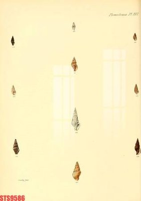 Tải file gốc Tranh sơn dầu phương tây tổng hợp STS9586 (in tráng gương) siêu đẹpFile tranh gốc Tranh sơn dầu phương tây tổng hợp STS9586 chất lượng cao