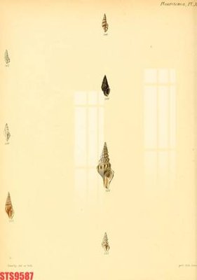 Tải file Tranh sơn dầu phương tây tổng hợp STS9587 (gốc) để in ấn ngay