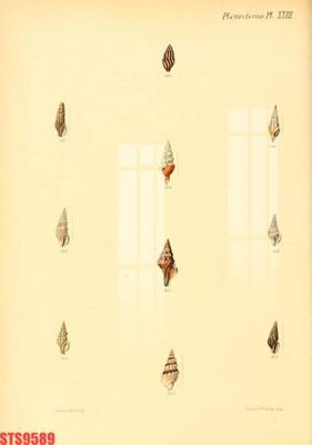 File gốc Tranh sơn dầu phương tây tổng hợp STS9589 (in 3D) nghệ thuật