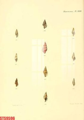 File ảnh Tranh sơn dầu phương tây tổng hợp STS9596 (gốc) cho trang trí nhà hàng