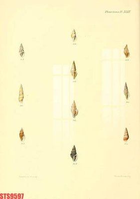 Tải file tranh Tranh sơn dầu phương tây tổng hợp STS9597 (gốc) tại Filetranh.com